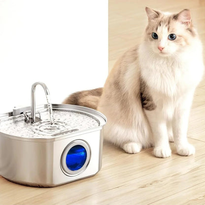 Protect your cat from dehydration and urinary emergencies with Pawira